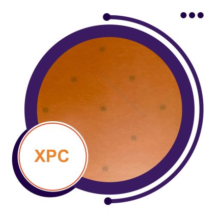 xpc